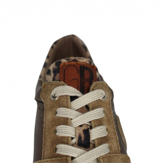 98AH05-GEOLLAMY-CLASS GEOLLAMY Basket Mode