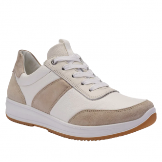 97PE06-ARA-12-25532 ARA Confort +